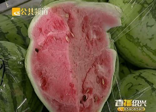 绍兴柯桥吃瓜,夏日吃瓜指南,尽享清凉时光 第1张 绍兴柯桥吃瓜,夏日吃瓜指南,尽享清凉时光 第1张